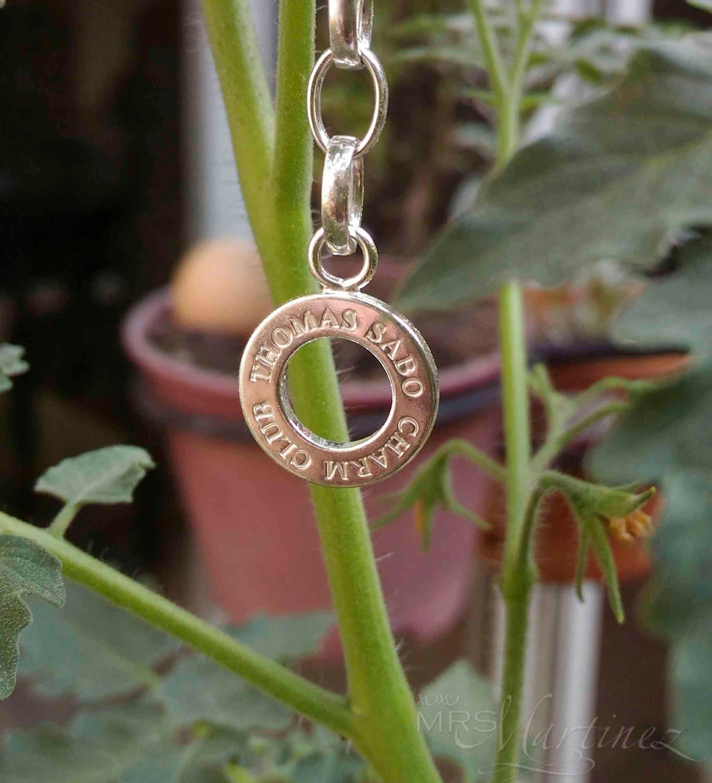 Thomas sabo 2025 charm bracelet price